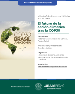 El futuro de la acción climática tras la COP30