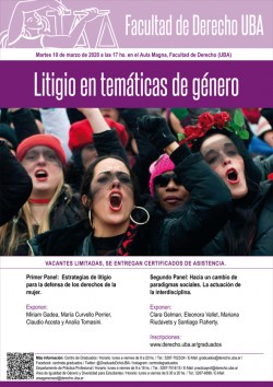 Litigio en temáticas de género