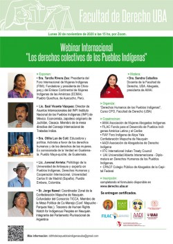 Los derechos colectivos de los Pueblos Indígenas