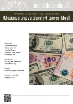 Obligaciones en pesos y en dólares (civil - comercial - laboral)