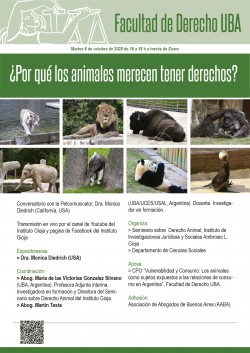¿Por qué los animales merecen tener derechos?
