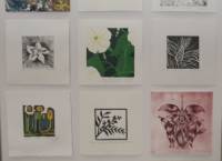 Muestra Miniprint Plantas Nativas. Exposición Internacional de Grabado 2025