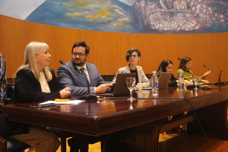 Desafíos y estrategias frente a la emergencia climática y la transición energética: reflexiones sobre estándares internacionales y sobre la nueva opinión consultiva de la Corte Interamericana de Derechos Humanos