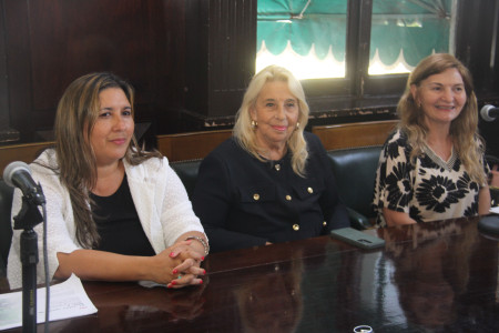 Presentación del libro El Libro Verde de las MARCs - Métodos Alternativos de Resolución de Conflictos, de Verónica Gonzalez